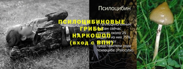 мескалин Абаза