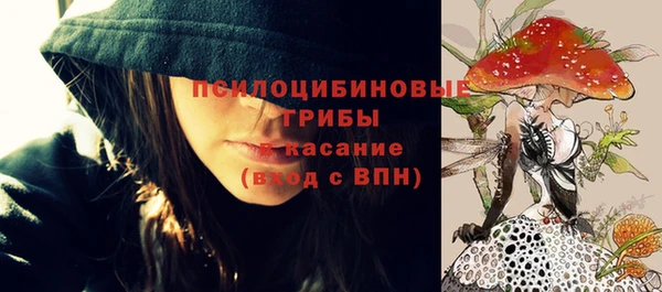 мескалин Алексин