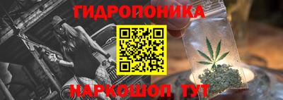 амф Кингисепп