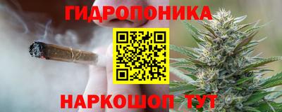стафф Кимры