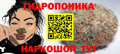 амф Кингисепп