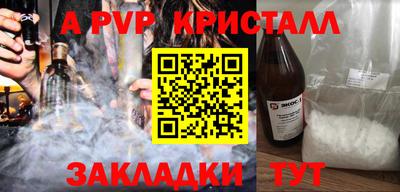 амф Кингисепп