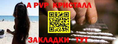амф Кингисепп