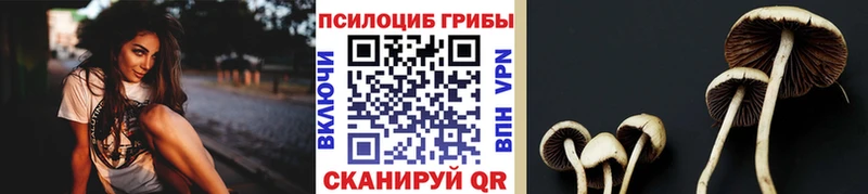 Псилоцибиновые грибы Magic Shrooms  как найти наркотики  Усть-Илимск 