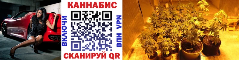 купить  цена  Усть-Илимск  Бошки марихуана планчик 